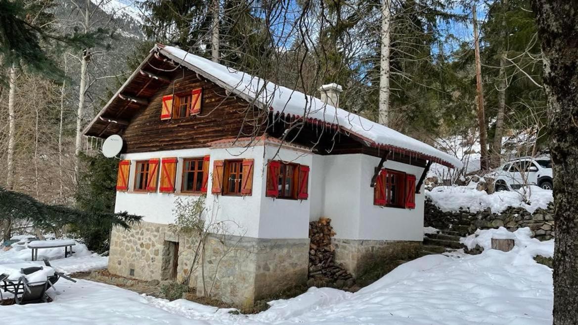 Le Tyrolien, Au Coeur Du Boreon Saint-Martin-Vésubie