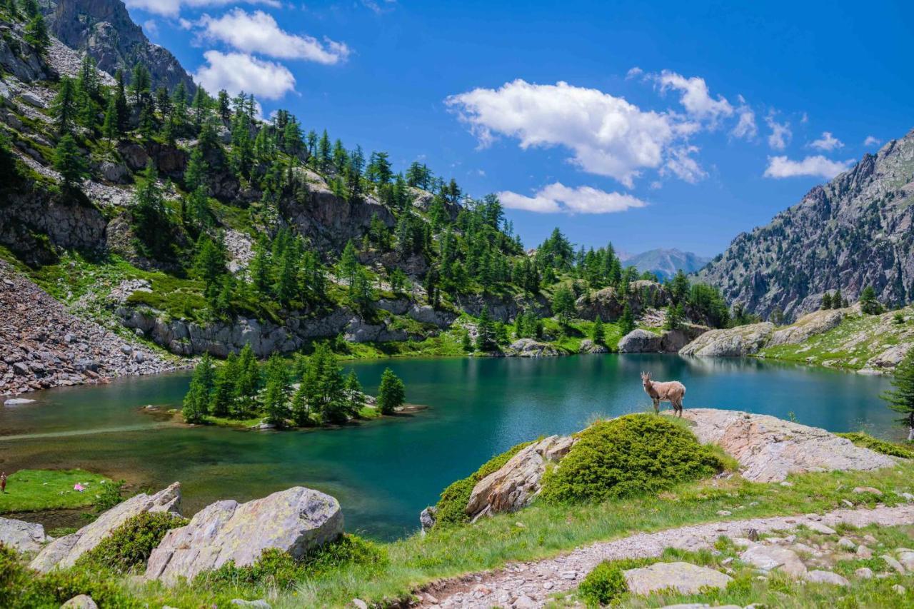 Le Tyrolien, Au Coeur Du Boreon Chalet