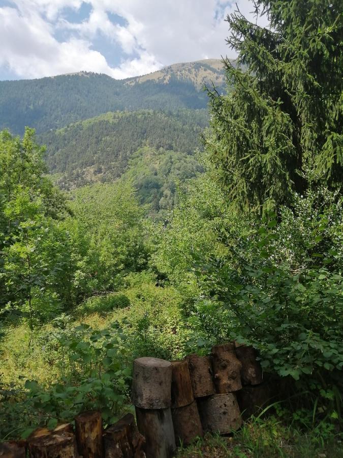 Le Tyrolien, Au Coeur Du Boreon Saint-Martin-Vésubie